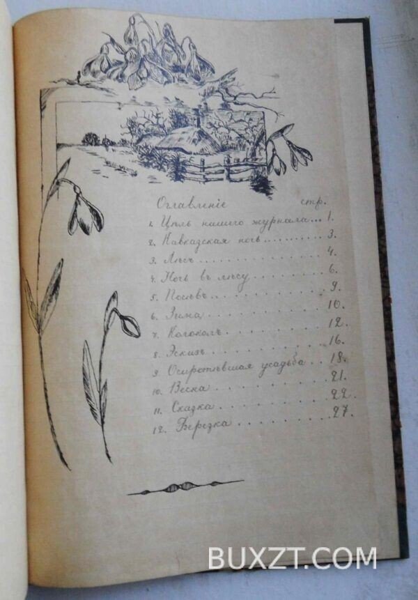 Молодые побеги. №1. — изображение 4