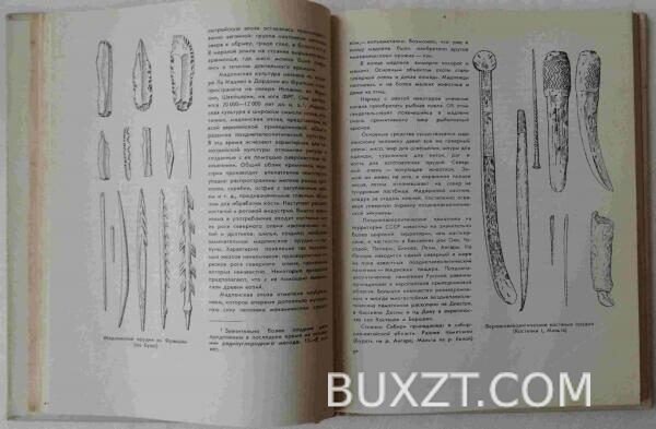 История первобытного общества. — изображение 3