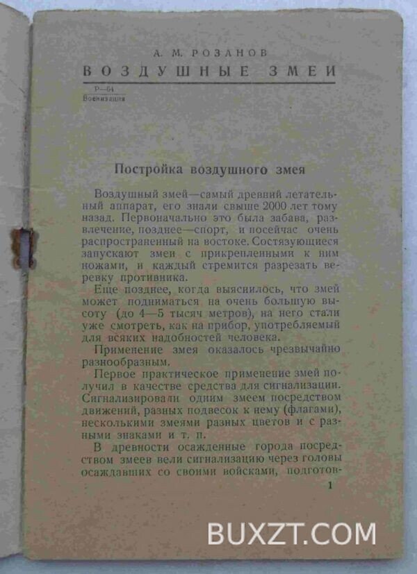 Воздушные змеи. Розанов А. — изображение 2