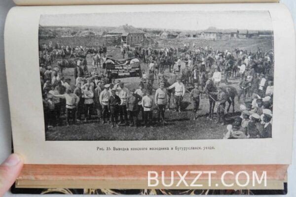 Основы экономики и организации конеразведения. — изображение 5