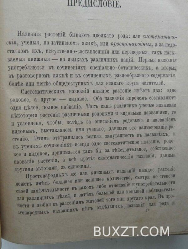 Ботанический словарь. Анненков Н. — изображение 2