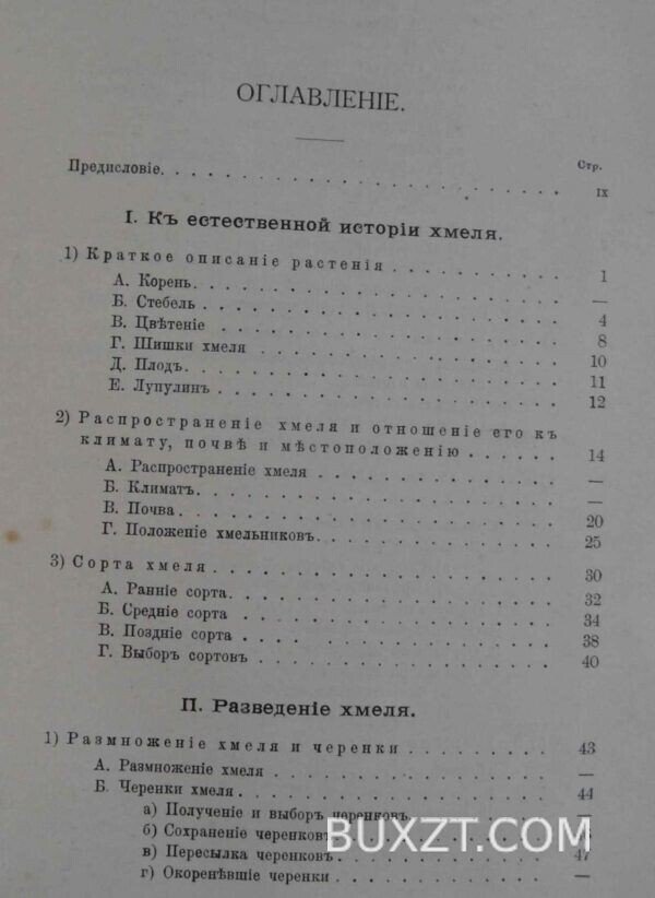 Хмелеводство. Засухина И. — изображение 2