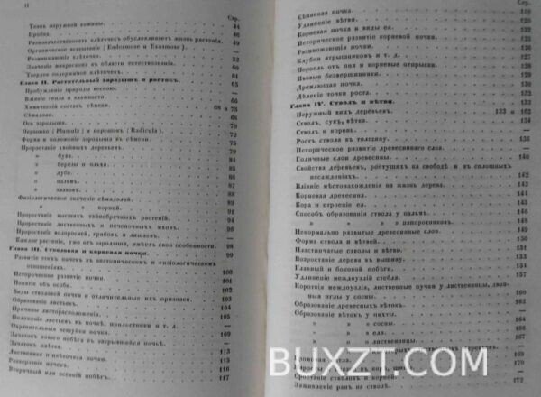 Дерево. Шахт Г. — изображение 5