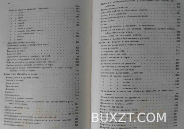 Дерево. Шахт Г. — изображение 7