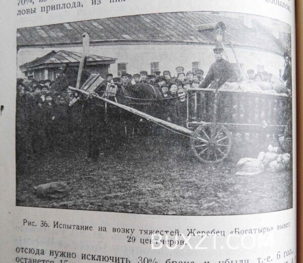 Основы экономики и организации конеразведения. — изображение 6