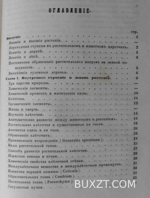 Дерево. Шахт Г. — изображение 4
