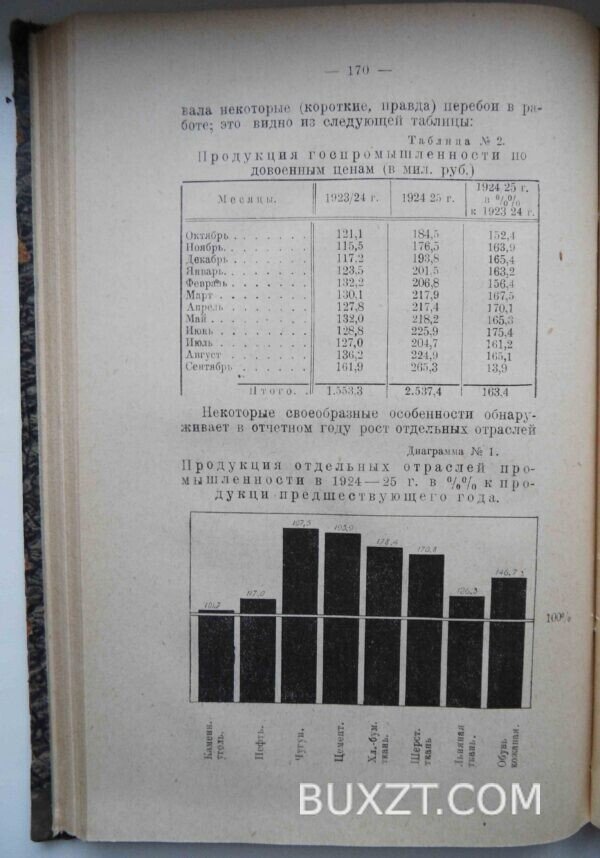 Конъюнктура народного хозяйства СССР и мирового в 1924-25 г. — изображение 8
