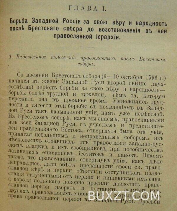 Западная Русь в борьбе за веру и народность. Малышевский И. — изображение 11